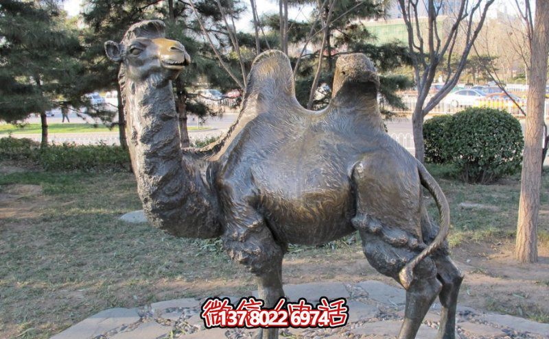 創(chuàng)意大型玻璃鋼駱駝雕塑，在草地上擺放，一眼回頭